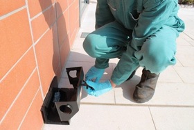 derattizzazione-pic